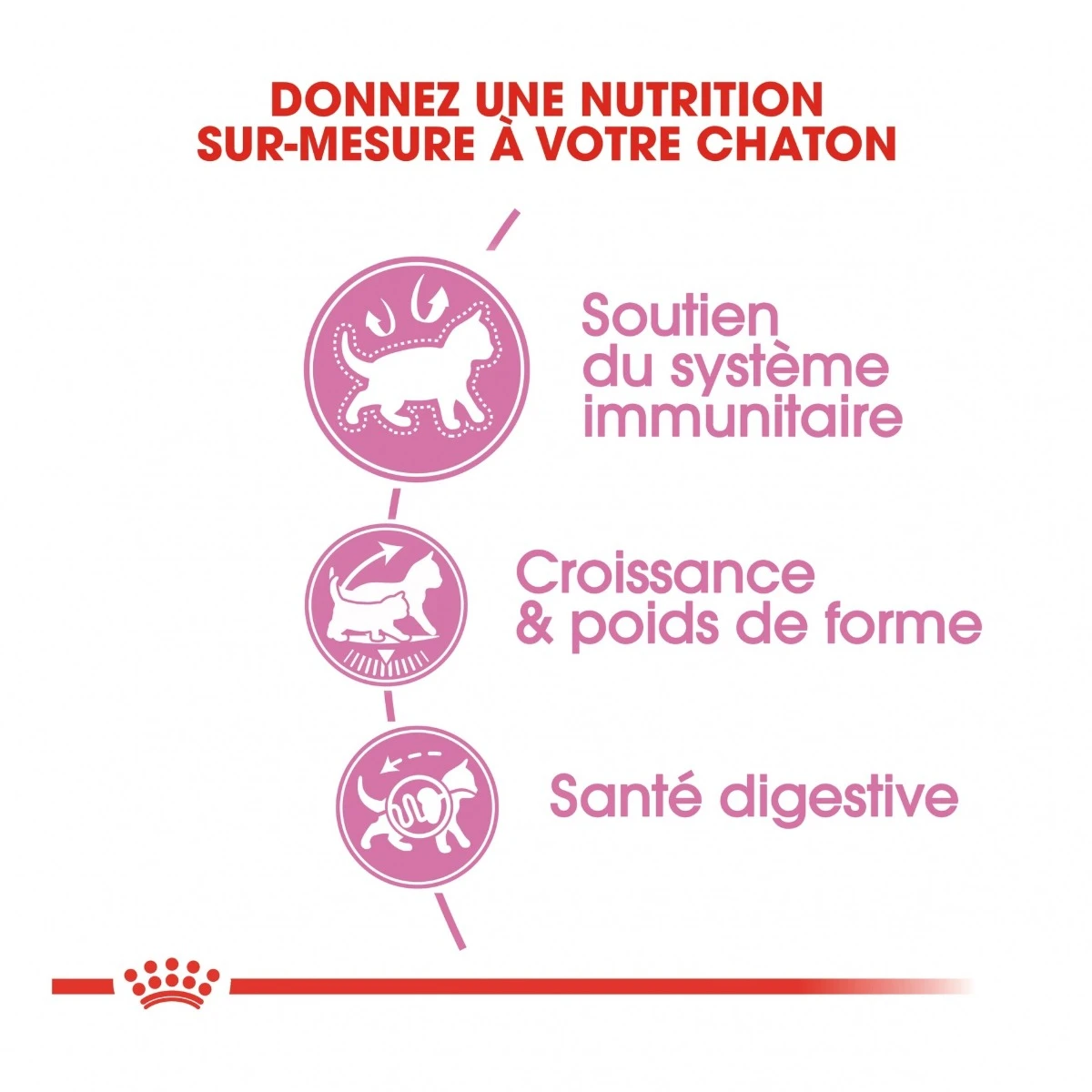 Royal Canin Kitten Sterilised – Image 4