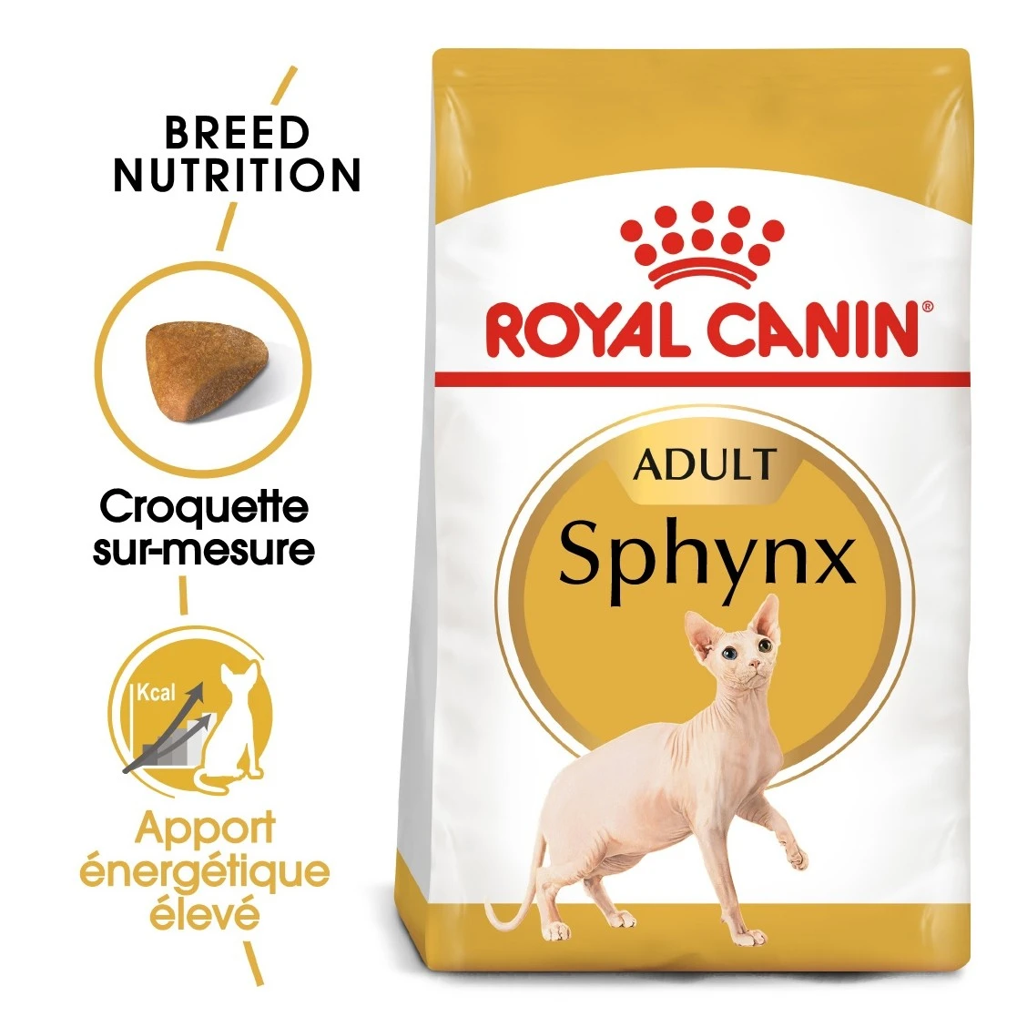 Royal Canin Sphynx Adult Pour Chat 10kg – Image 3