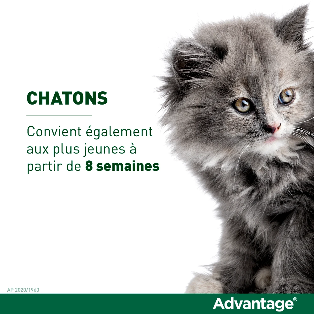 Advantage 40 Chat Et Lapin De 1 à 4 Kg – Image 5