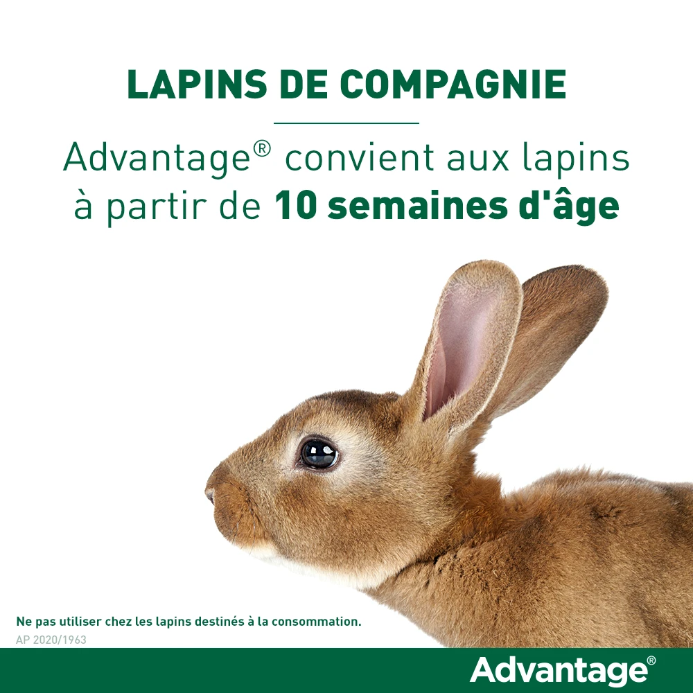 Advantage 40 Chat Et Lapin De 1 à 4 Kg – Image 6