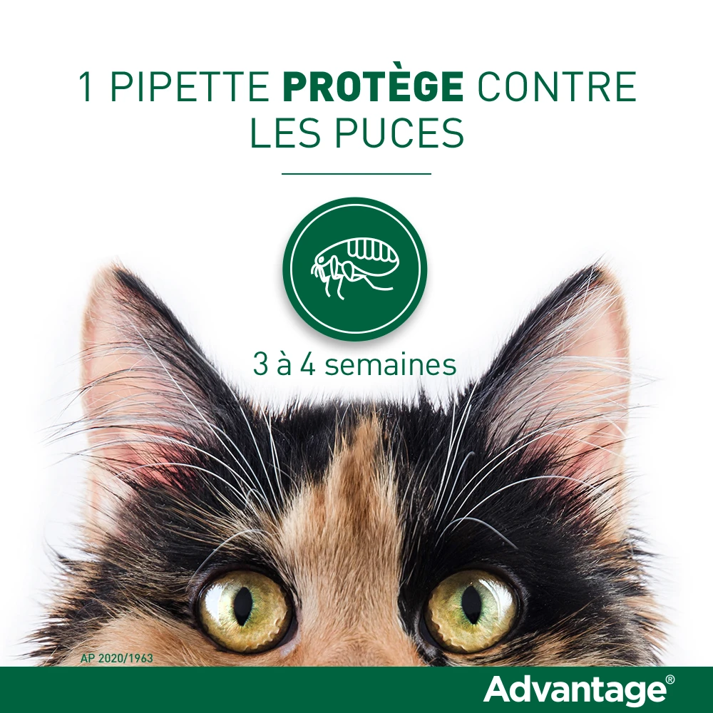 Advantage 40 Chat Et Lapin De 1 à 4 Kg – Image 3